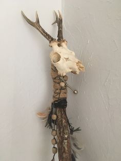 a deer's head is hanging on the wall with beads and feathers attached to it