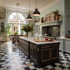 a kitchen with black and white checkered flooring, potted plants on the counter