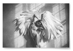 black and white photograph of an angel laying on the ground with her wings spread out