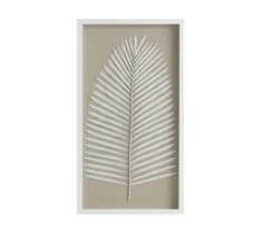 a white palm leaf in a shadow box