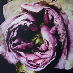 a large purple flower sitting on top of a piece of paper