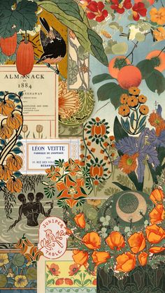 the collage is made up of many different types of flowers and plants, including oranges