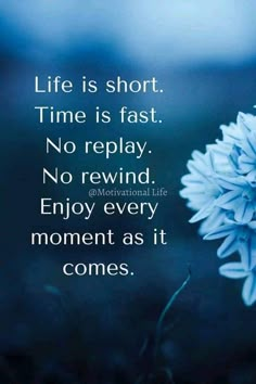 a blue flower with the quote life is short time is fast no rewind enjoy every moment as it comes