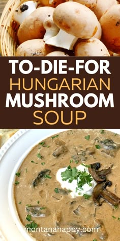 mushroom soup in a white bowl with text overlay to die for hungarian mushroom soup