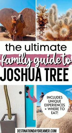 the ultimate family guide to joshua tree includes unique experiences, where to eat and what to do