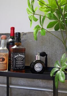 bottles of liquor sit on a shelf next to a potted plant