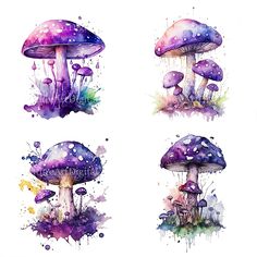 four watercolor mushrooms with different colors on them