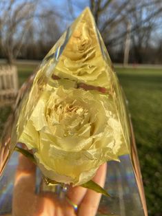 a yellow rose in a glass vase being held up by someone's hand with trees in the background