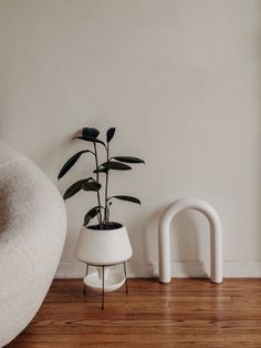 a plant in a white pot next to a chair and footstool on a wooden floor