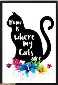 a black cat with the words home is where my cats are