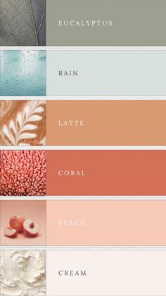 the color palette is shown with different shades