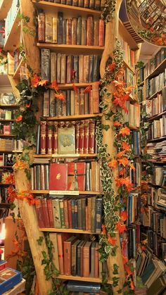 a bookshelf filled with lots of books and flowers