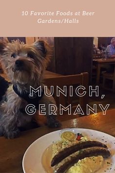 a small dog sitting next to a plate of food on a table with the words munch, germany