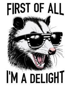 Svg Shirt Ideas For Women, Free Funny Svg, Sublimation Tshirt Ideas, Sublimation Ideas T Shirts Design, Funny Svg Free, Trash Panda, Funny Images Laughter