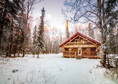 a log cabin sits in the middle of a snowy forest