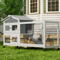 an outdoor rabbit house with rabbits in it