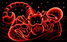 an image of a red scorpion crab on black background with stars in the sky behind it