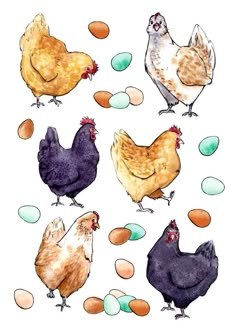 chickens and eggs are depicted in this watercolor painting