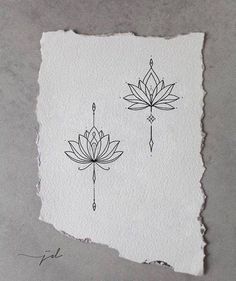 a piece of paper that has some drawings on it with water lilies in the middle