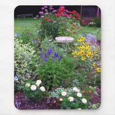 a garden filled with lots of colorful flowers