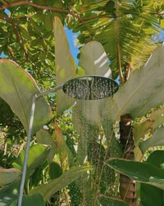 a shower head in the middle of some plants and trees with water coming from it