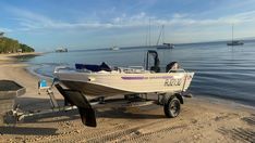 a small boat is parked on the beach