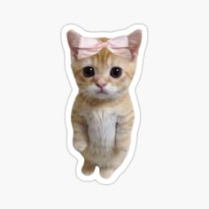 an orange cat with a pink bow on its head sticker is sitting up against a white background