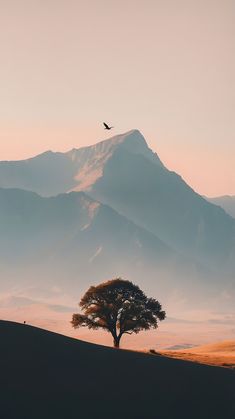 a lone tree in the middle of a field with mountains in the background at sunset