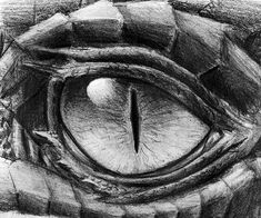 the eye of an animal is shown in this drawing