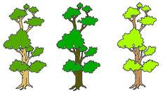 Digital 2D art of tree which can be used as 2D asset in creating environments Colour Shades, 2d Art, Color Shades, Different Colors, Software, Notebook, Shades, Art