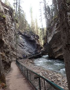 people are walking on a bridge over a river in the woods near some rocks and trees