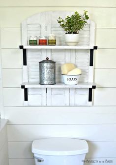 a white toilet sitting in a bathroom next to a wall mounted shelf filled with potted plants