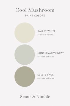 the different shades of paint that can be used to create a neutral and neutral color scheme