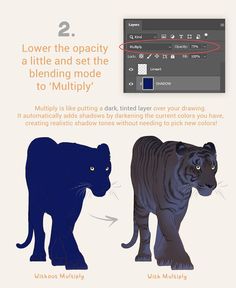 an info sheet showing how to use photoshopped animals