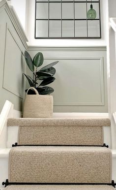 a plant sitting on top of a set of stairs