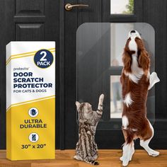 two dogs and a cat standing in front of a door that says protect your dog scratch protector for cats and dogs