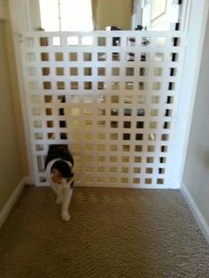 a black and white cat is standing in front of a gated entrance to a house