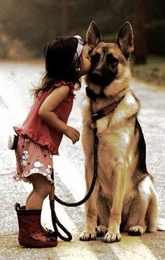 best friend Love My Dog, Google Lens, German Shepherd Dogs, Shepherd Dog, Pet Grooming, Mans Best Friend, Animals Friends, I Love Dogs