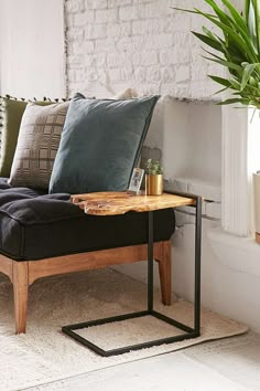 a living room with a couch, coffee table and potted plant on the side