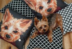 a small brown dog sitting on top of two black and white pillows with dogs on them