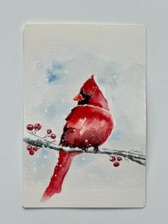 a watercolor painting of a cardinal sitting on a branch