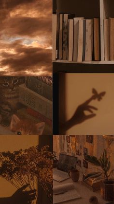 a series of photos with books and a cat in the middle one has a shadow on it