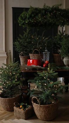 small christmas trees in baskets on the floor