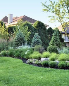 a lush green yard with trees and bushes