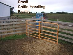 small cattle handling facility with text overlay that reads, small cattle handling facility facility