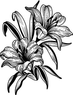 a black and white drawing of a flower