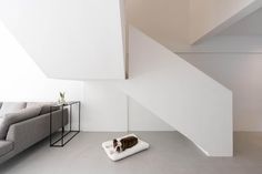 a dog laying on a pillow in the middle of a living room with white walls