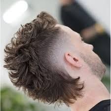 Mullet Mohawk, Mullet Fade