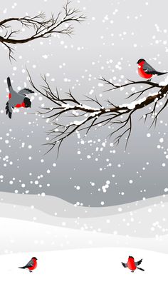 three birds are sitting on the branches of a tree in the snow, one is red and gray