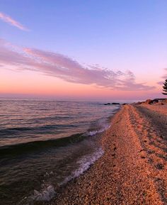 an empty beach at sunset with trees on the shore